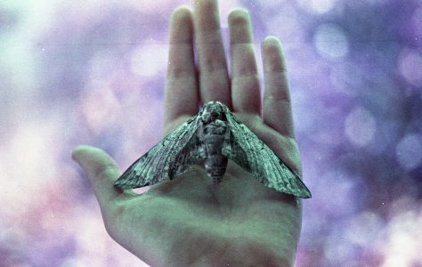 About the stream of&nbsp;thought